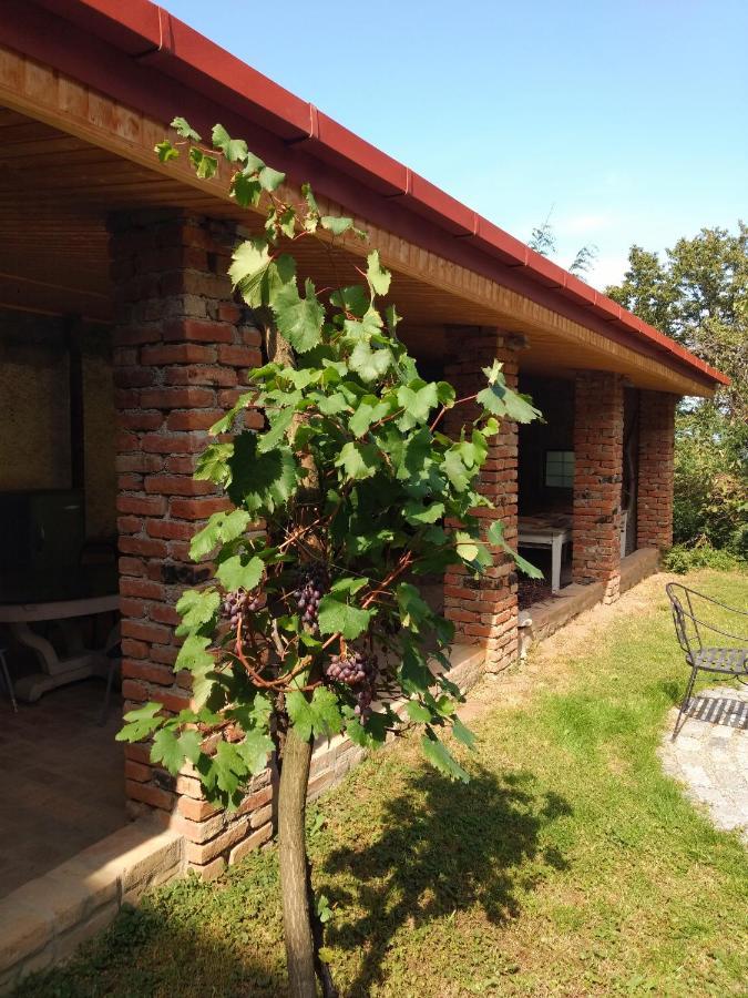 Omsi House Hotel Telavi Eksteriør billede